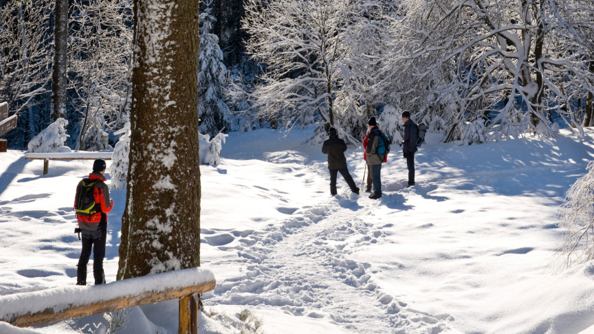 © Dörthe Hagenguth / DAAD